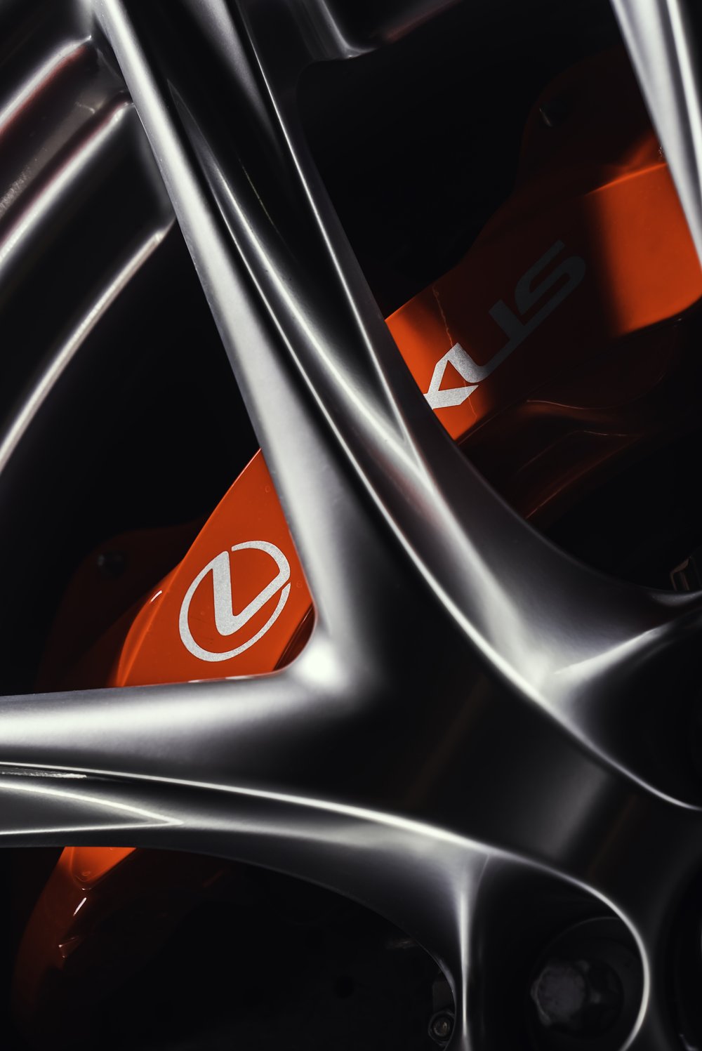 avants-LFA_edit_004.jpg
